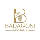 Badagoni კორპორატიული კლიენტის ლოგო